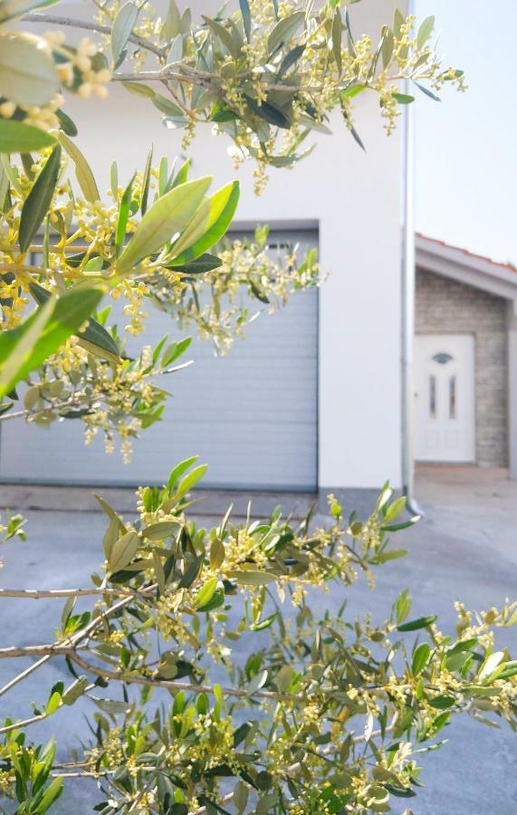 Apartments Tanya Šibenik Dış mekan fotoğraf